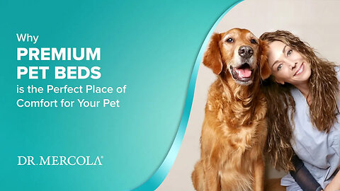 Why PREMIUM PET BEDS is the Perfect Place of Comfort for Your Pet
