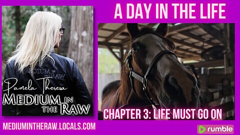 Medium in the Raw: A Day in the Life Chapter 3 - Life Must Go On