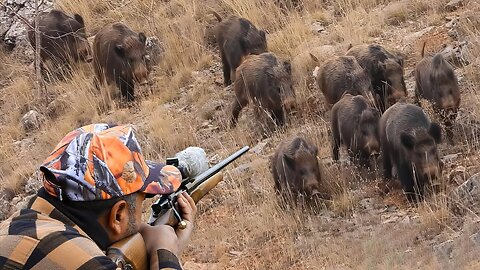 Wild Boar INVASION: Incredible Hunting Shots and Unbelievable Action!