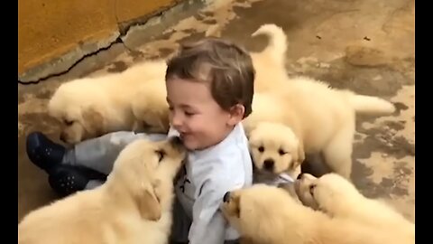 Cute Dogs and Cute Babies - Love Between Cute Puppies and Babies