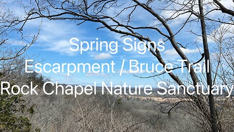 Nature’s Awakening / Escarpment Views | Bruce Trail| Rock Chapel Nature Sanctuary 4/4