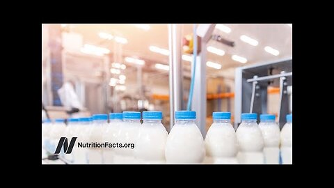 Could Lactose Explain the Milk - Parkinson’s Disease Link