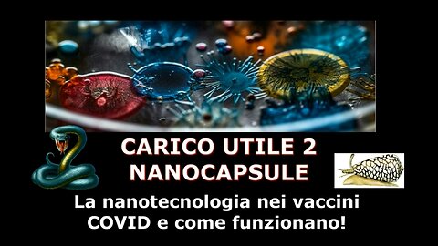 Carico Utile 2 Nanocapsule