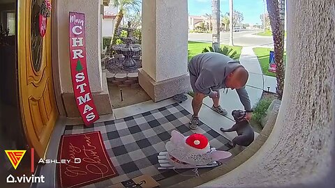 Dog Jailbreak Fails Caught on Vivint Doorbell Camera | Doorbell Camera Video