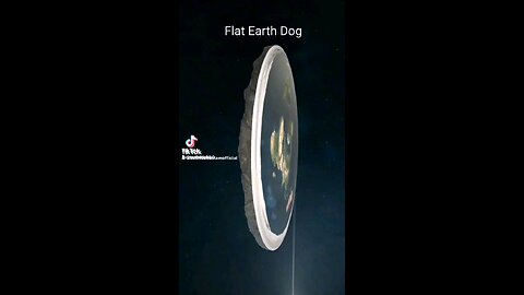 Flat Earth Dog 🐕