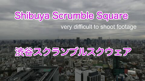 shibuya scrumble squware.