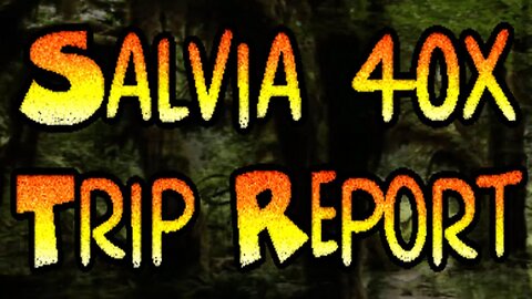 Salvia 40x (Trip Report)