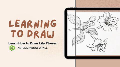 🌼 Master the Art of Lily Sketching: A Visual Symphony of Petals 🌟