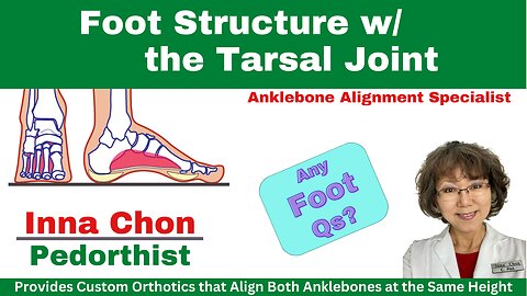 Foot Structure w/ Tarsal Joint