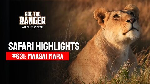 Safari Highlights #631: 7 & 8 September 2021 | Maasai Mara/Zebra Plains | Latest Wildlife Sightings