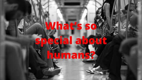 What is so special about humans?