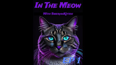 In The Meow | The Beginning