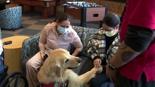 Therapy dog, owner bringing joy to patients at Denver Health