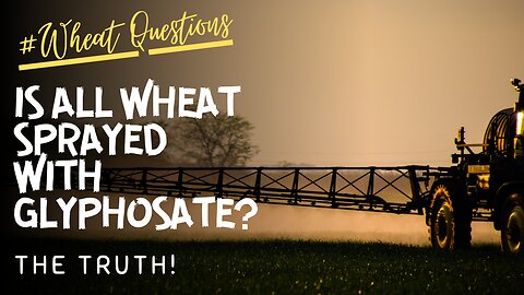 Is All Wheat Sprayed With Glyphosate? | Truth About Glyphosate & Desiccants| Wheat Truths
