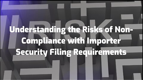 Risks in Importer Security Filing