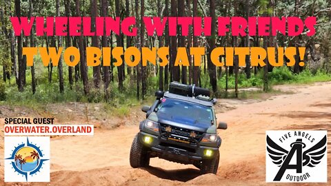 Two AEV Bisons Wheeling at Citrus WMA : Off-Road Fun