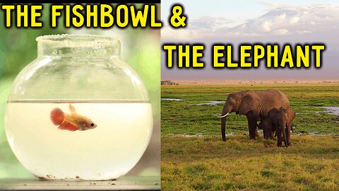 How Big Is the “Fishbowl” You’re Living In? Too Small, Probably.