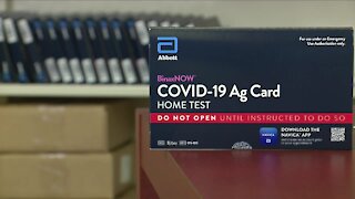 Surge in demand for COVID-19 rapid testing ahead of Thanksgiving