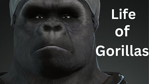 life of Gorillas