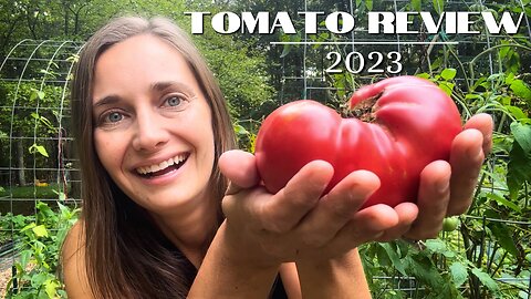The Best Tomato Varieties - Reviewing 12 Heirloom & Open-Pollinated Tomatoes