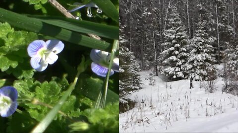 Went from nice Green Grass to Snow Outdoor Adventure By Rudi Vlog#1885