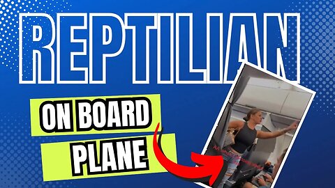Woman Rushes Of Plane After Seeing Reptilian On Board