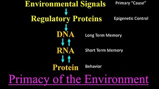 How do you protect your DNA? The Shocking TRUTH!