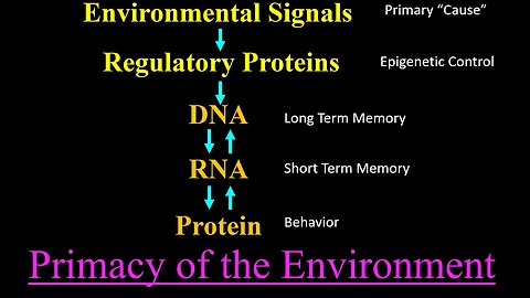 How do you protect your DNA? The Shocking TRUTH!