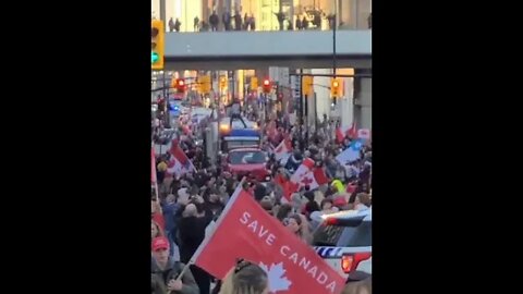 Moment's before the first arrest on April 29th, in Ottawa.