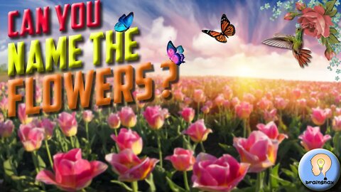Spring flowers | Flower Game | Silhouette game | Vocabulary games for kids |