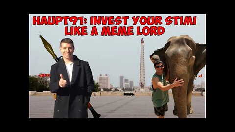 How to Invest Your Stimulus Like Haupt91: Meme Lord