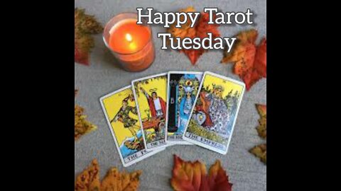 Tarot Tuesday