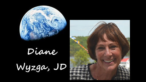 One World in a New World with Diane Wyzga, JD - Story Strategizer