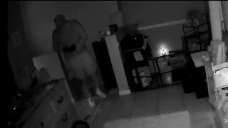 'Broward Sheriff's Office. Is anyone home?' burglar announces