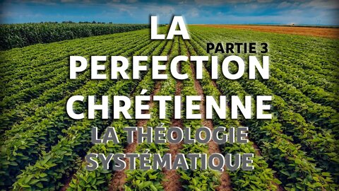 La Perfection Chrétienne #3 - La Théologie Systématique (Partie 1) - Olivier Dubois