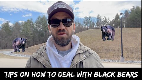 Tips On How To Deal With Black Bears