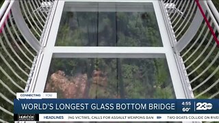 World's largest glass bridge opens in Vietnam