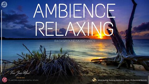 Relaxing Music for Work, Sleep and Rest | Background Music | for Meditation or Study.
