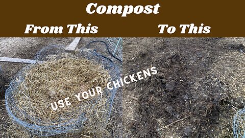 Chicken Aid Compost System Part 3