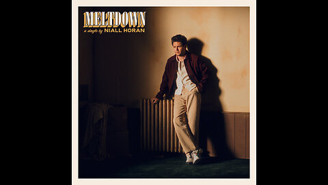 Meltdown (Acoustic) - Niall Horan - Live Performance