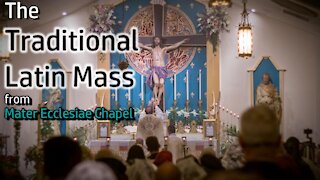 The Traditional Latin Mass - Sun, Aug. 22, 2021