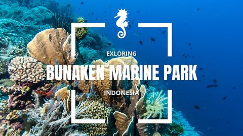 Exploring Bunaken Marine Park, Heaven of Sea Beauty The North of Sulawesi Island.