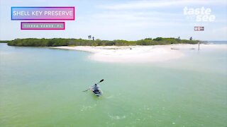 Visit Shell Key Preserve in crystal clear kayaks | Taste and See Tampa Bay