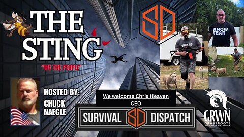 The STING welcomes Chris Heaven CEO of SURVIVAL DISPATCH