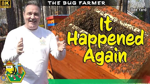 Bees Gone Wild | Green Bee Barn Install #8K #beekeeping #insects
