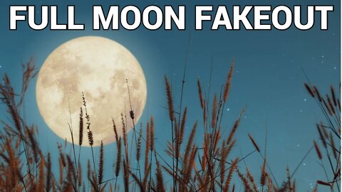 INSIDE LOOK! 👀 How We Traded The Full Moon Fakeout!