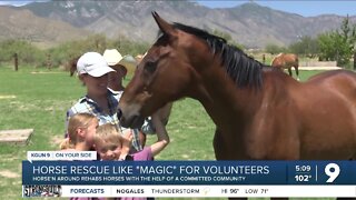 At Southern Arizona horse rescue, volunteers find harmony and community