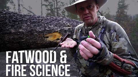 Fatwood and Fire Science | TJack Survival