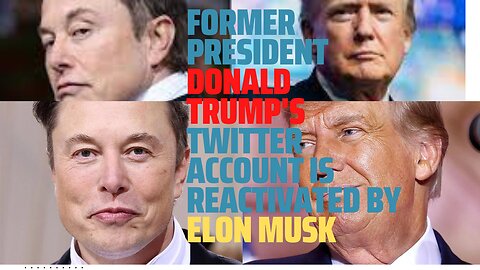 Former President Donald Trump's Twitter Account is Reactivated by Elon Musk