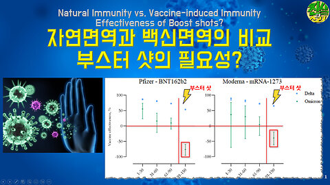 자연면역과 백신면역의 비교, 부스터 샷의 필요성?